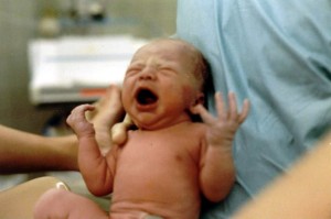 Ellis, Nate album birth