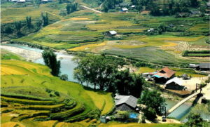 Vietnam