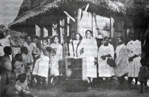 nenilava-house