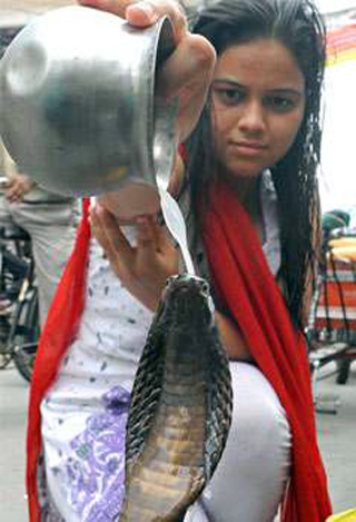 Hindu girl feeds snake