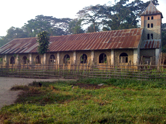 The Yansi jungle "cathedral"
