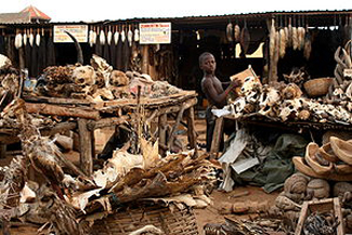 Fetish market in Lome, Togo, 2008