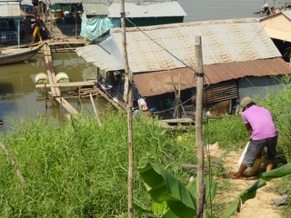 A Vietnamese immigrant hauls pig feed down to his floating house along the Tonle Sap River
