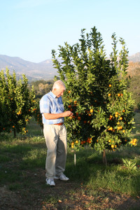 Fallbrook farm