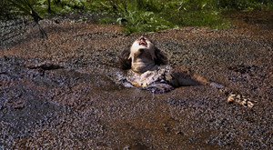 Film image of woman struggling in quicksand