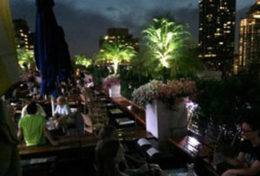Rooftop  bar at 230 Fifth Street