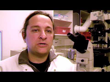 Malaria researcher Ali Salanti