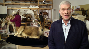 Ken Ham
