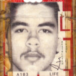 Prison ID edit