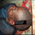 Screen Shot 2016-05-25 at 11.04.58 AM copy