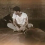 majed el shafie tortured