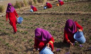 Now Ramza works with five other women laborers