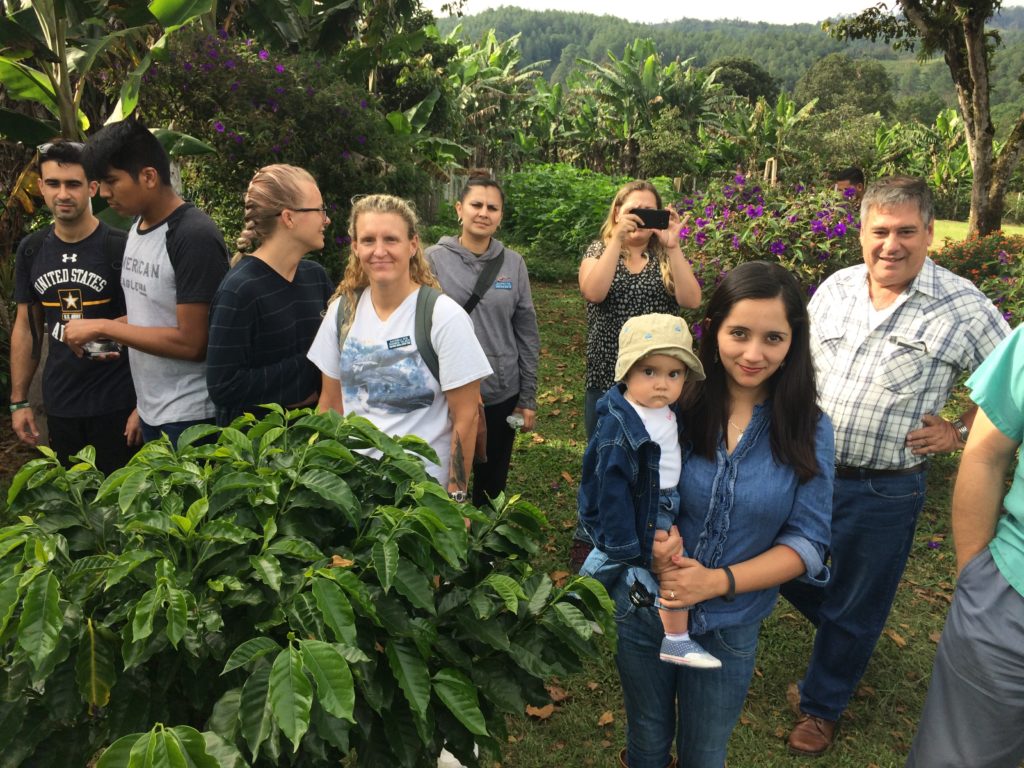 coffee plantantion Guatemala