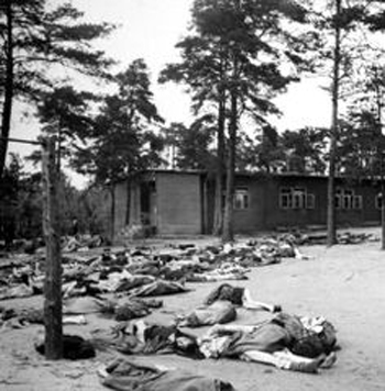 Bodies of dead and dying amid the trees at Bergen-Belsen