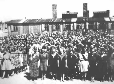 Magda (in square) shortly after arrival at Auschwitz