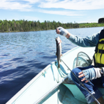 Dr Czer cardiologist