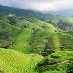 Farmland in China