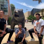 ucla bruins