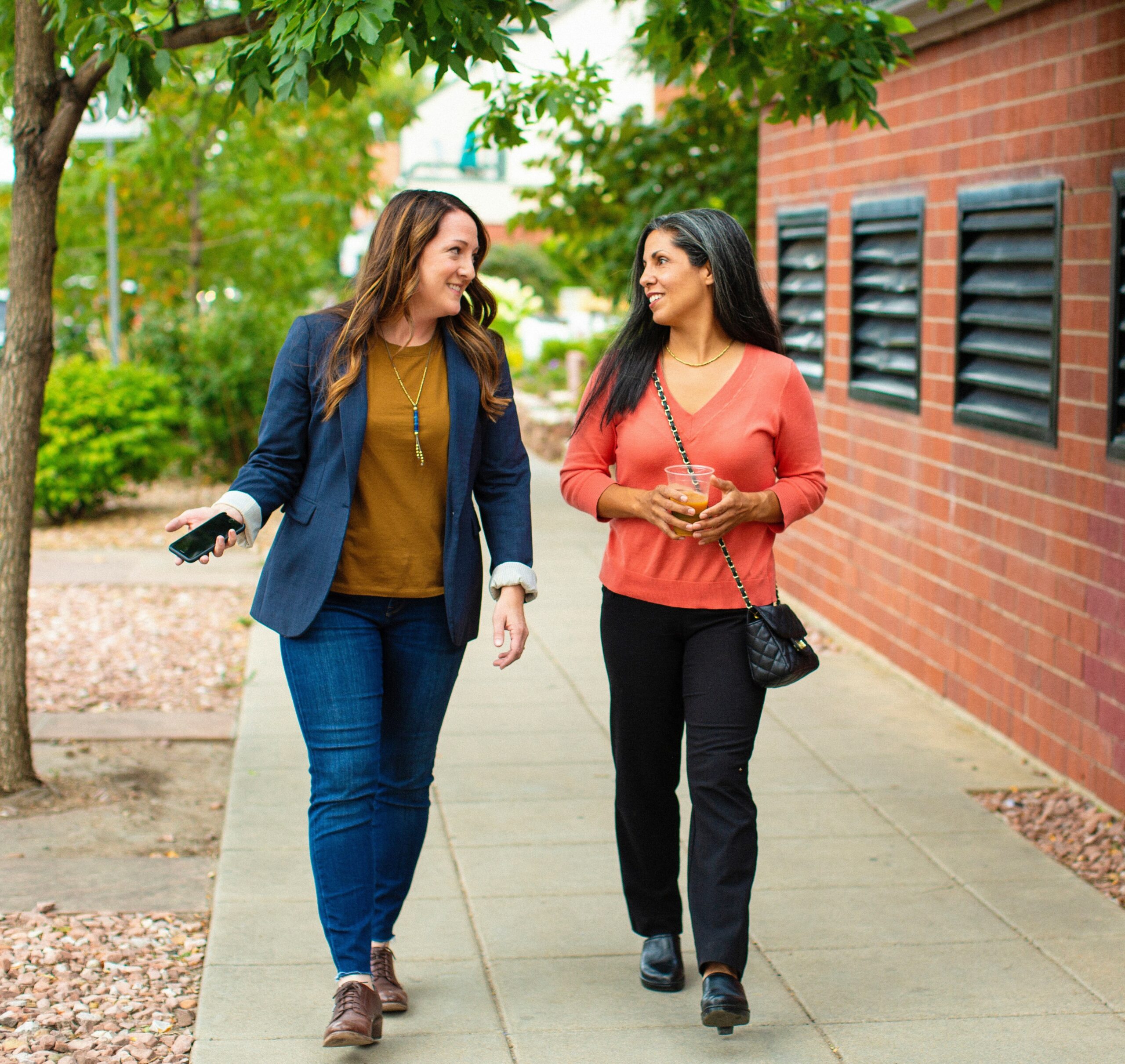 Ladies walking II