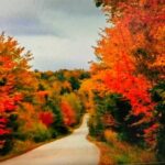 Road, fall