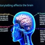 Brain photo