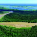 Parque_Nacional_El_Impenetrable