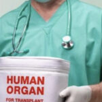 socialist governments kill patients to harvest organs