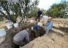 Archeologist Dr. Steve Collins’ New Excavation