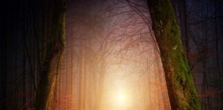 light