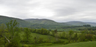 Miraculous intervention saved teen son from tractor rollover