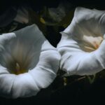 God Has Given Each of Us a Gift gift