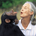 Renowned primatologist Jane Goodall passes to her reward