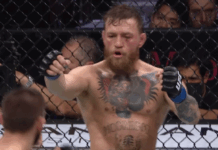UFC Champion Conor McGregor saw Jesus during psychedelic treatment in Mexico